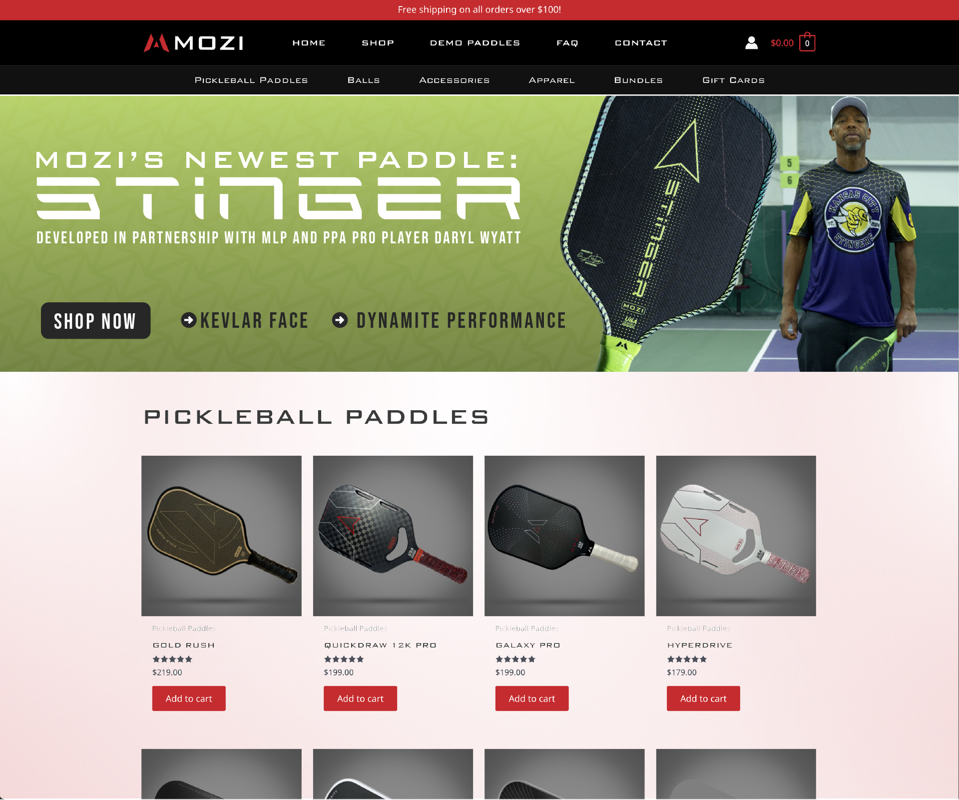 Landing Page Stinger Hero
